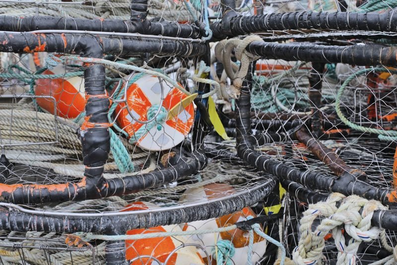 Stacked crab pots and orange buoys on a California dock