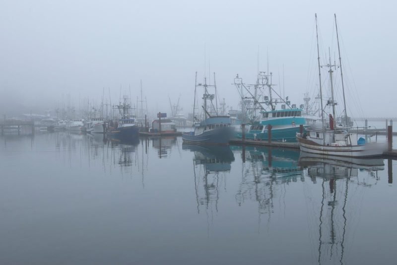 Commercial fishing fleet moored in grey fog